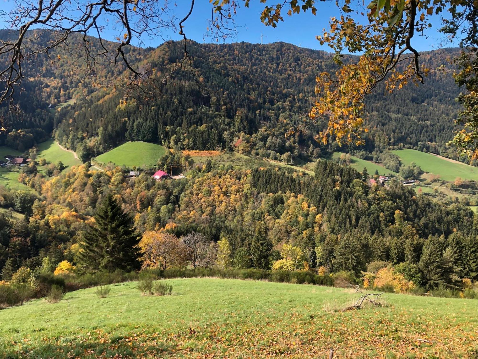 2 Zimmer Wohnung, Mit Sonnenterasse Schönwalde Zewnętrze zdjęcie